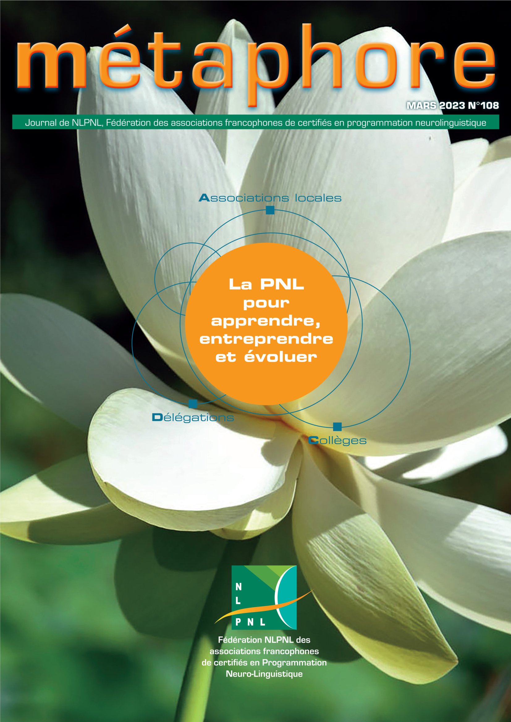 Ceci est une image représentant image