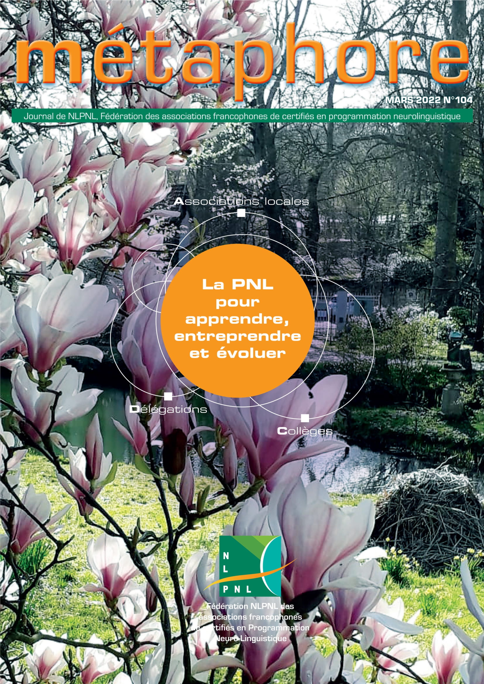 Ceci est une image représentant image