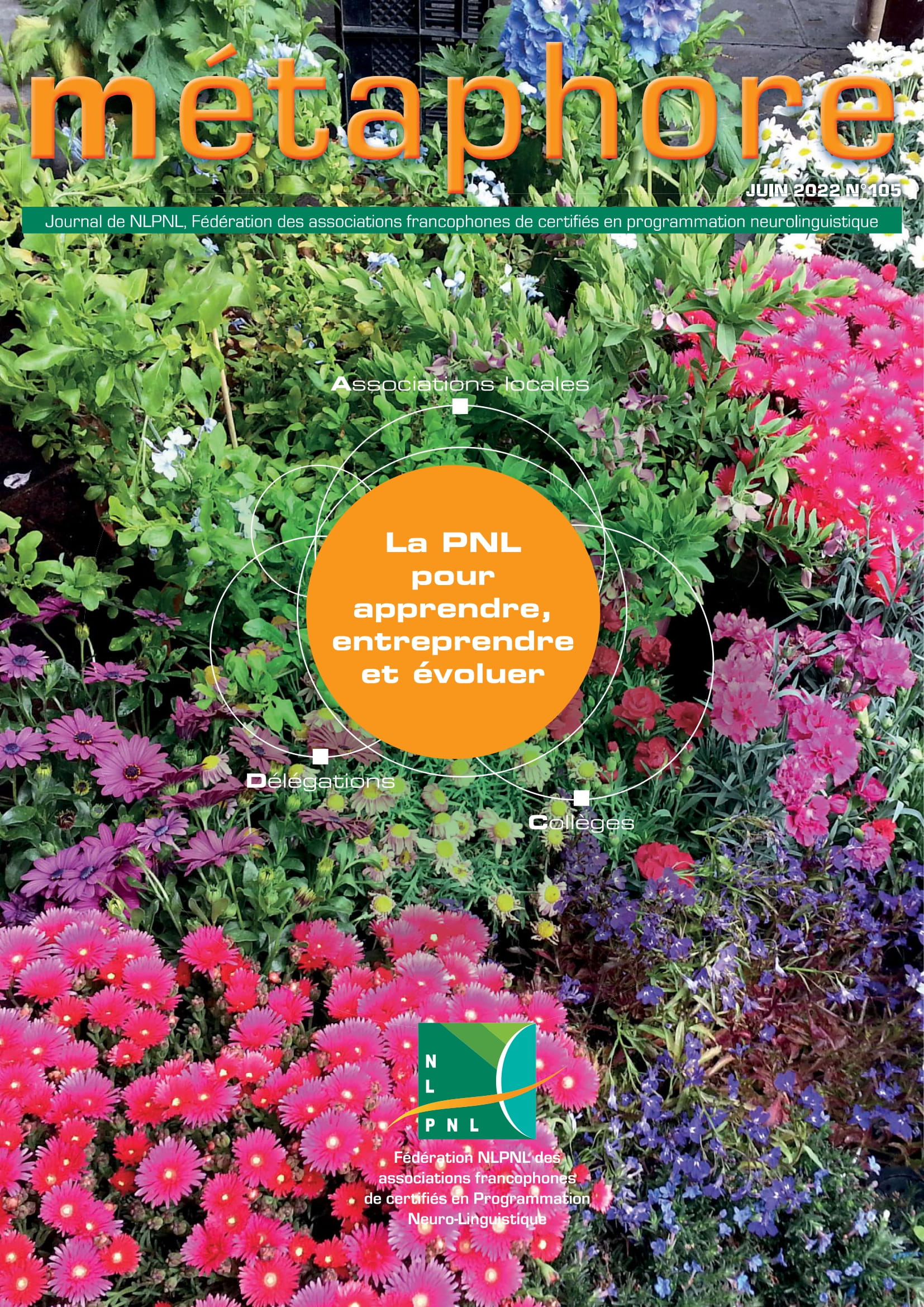 Ceci est une image représentant image