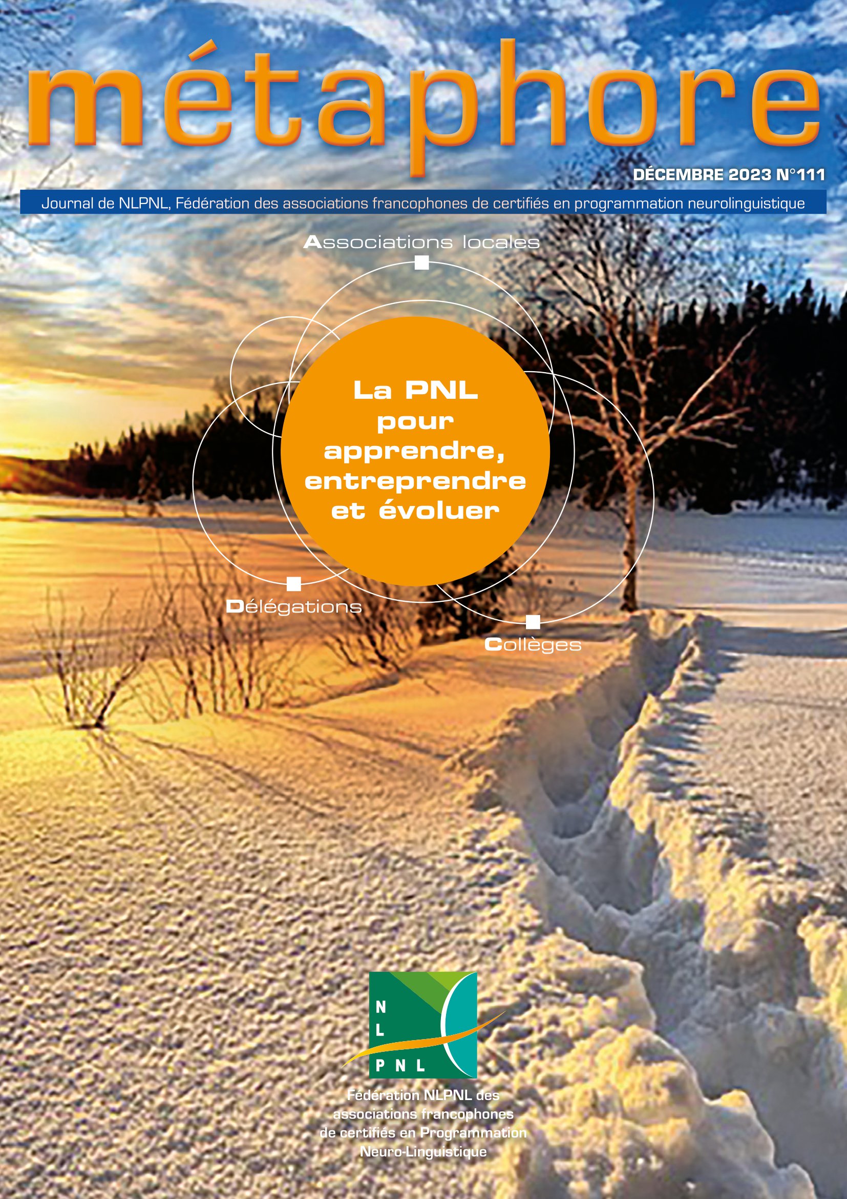 Ceci est une image représentant image