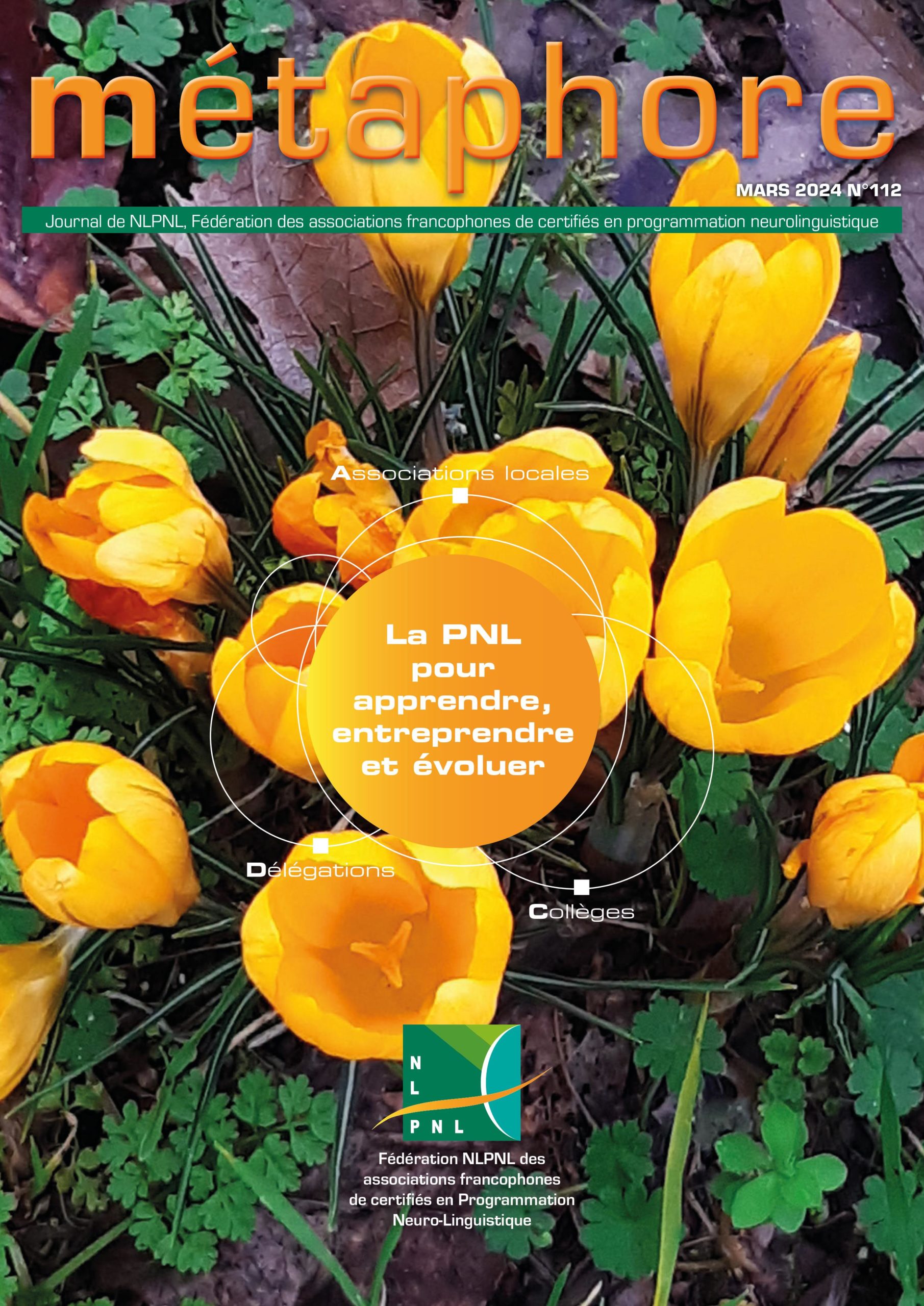 Ceci est une image représentant image