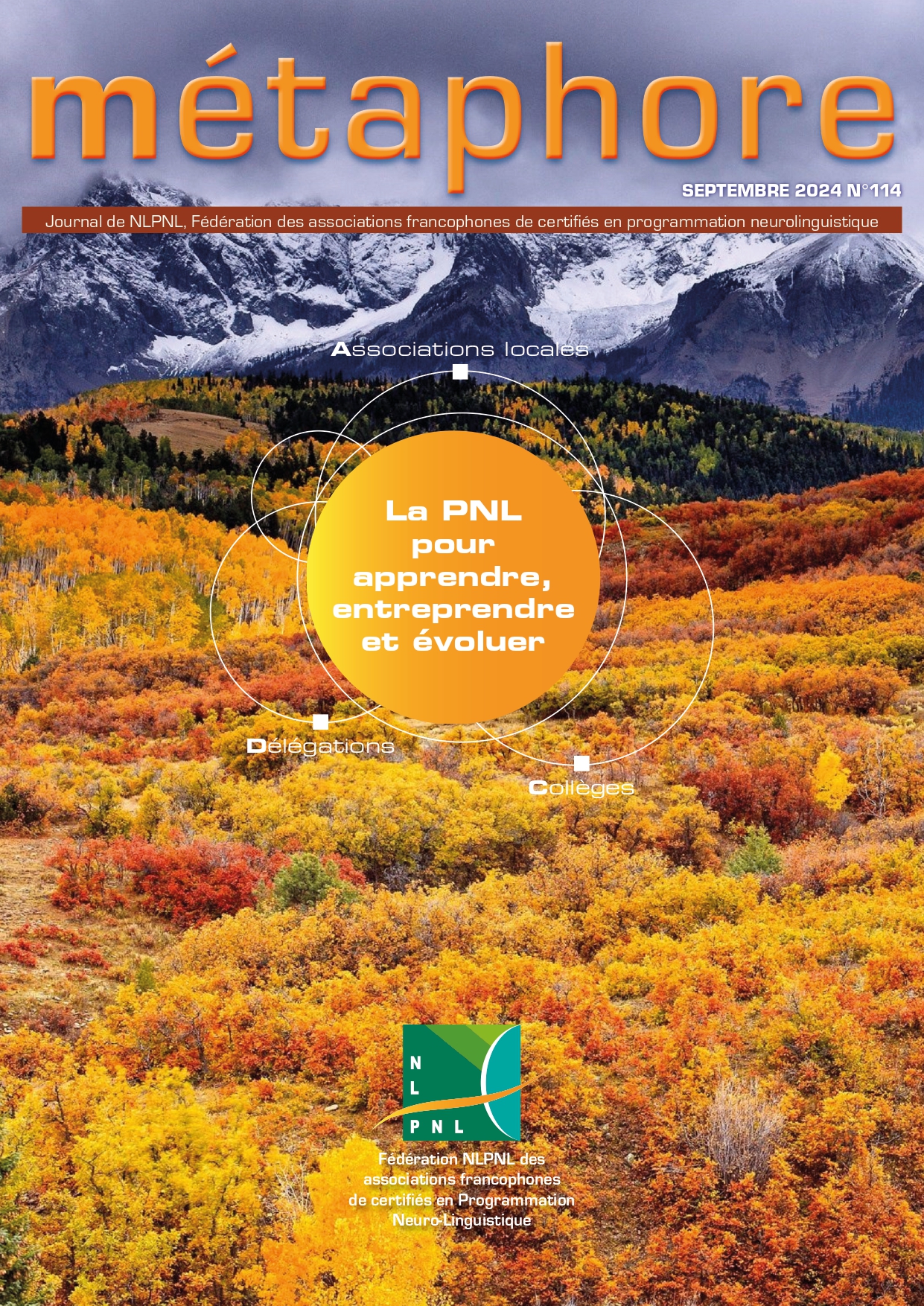 Ceci est une image représentant image