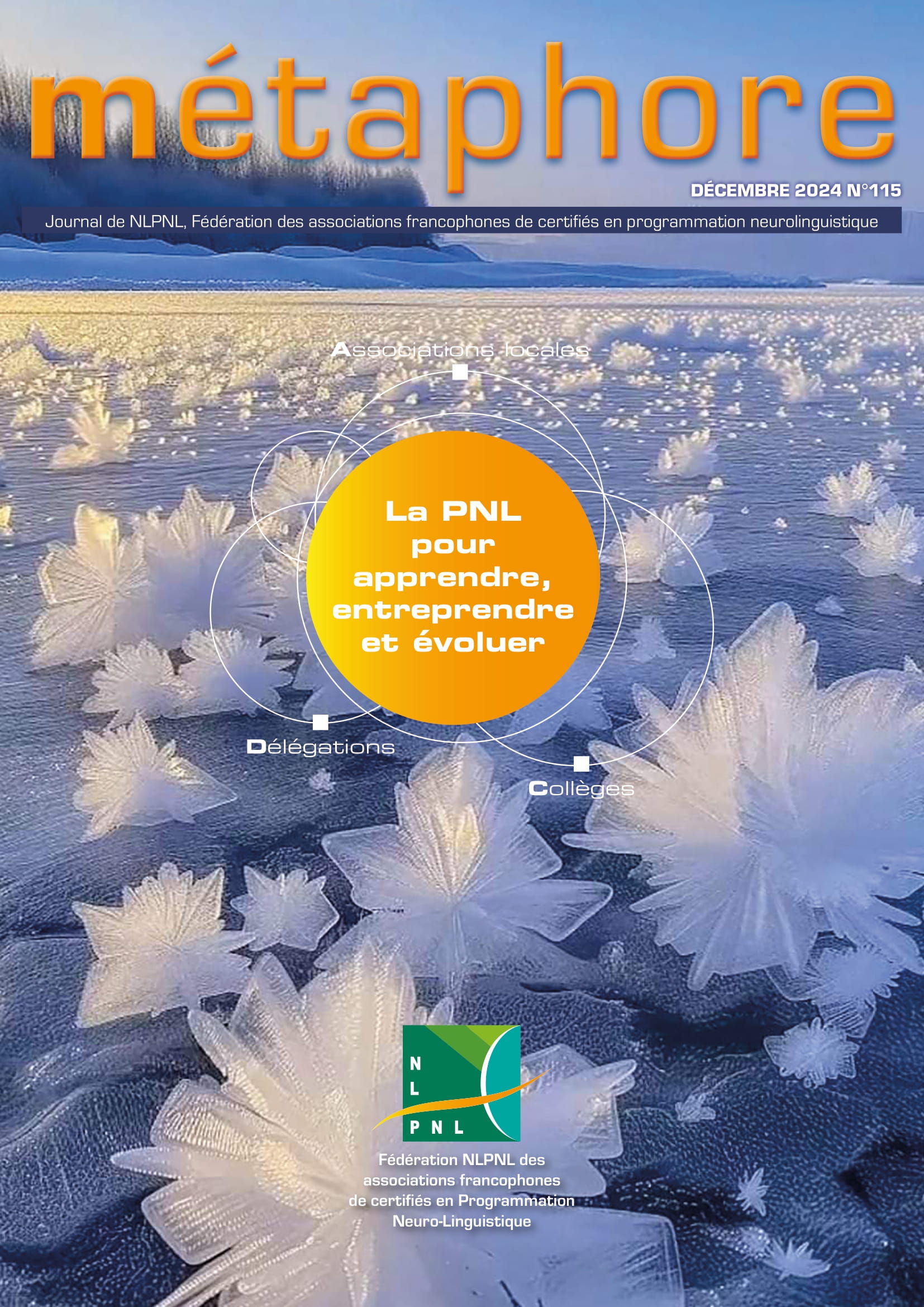 Ceci est une image représentant image