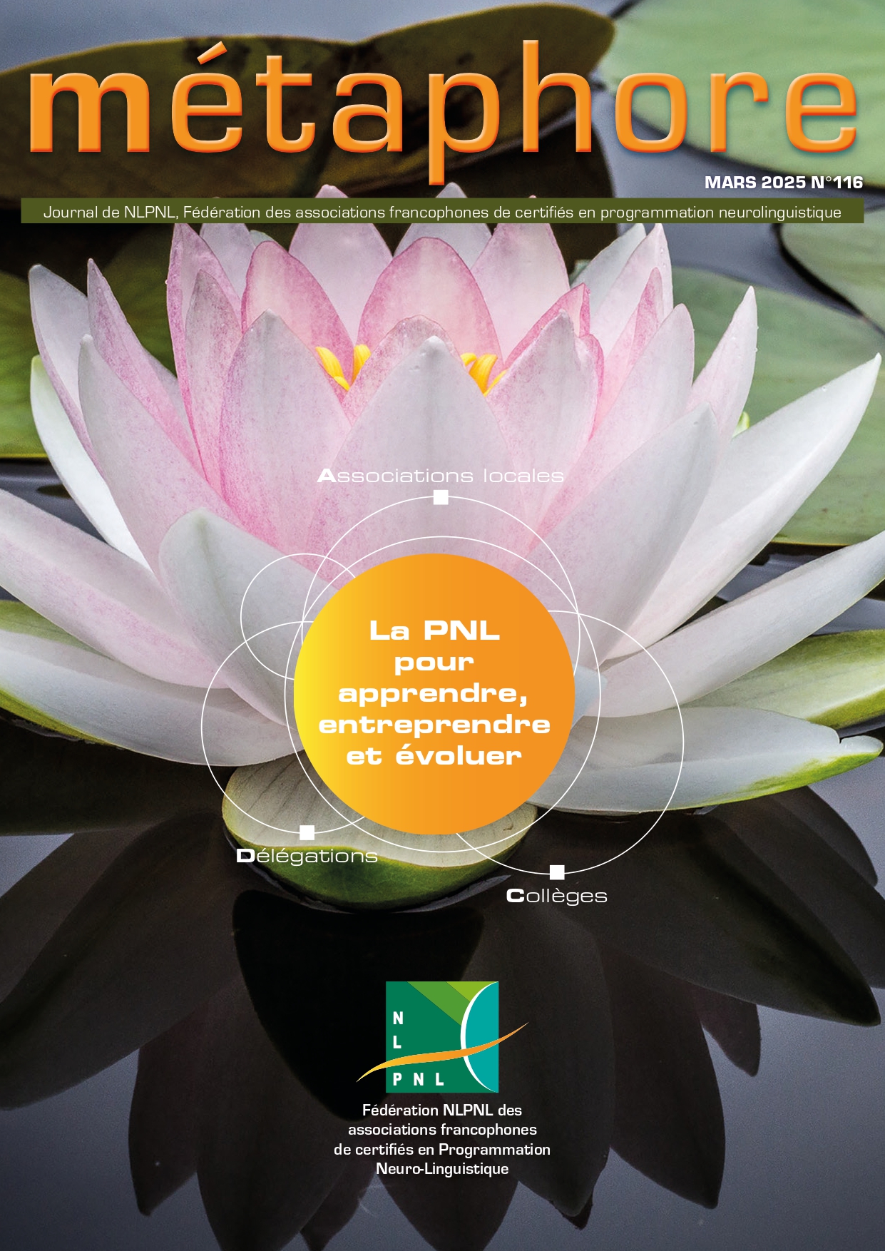 Ceci est une image représentant image